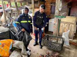 Operação integrada combate receptação de fios furtados e apreende cobre queimado em ferros-velhos de Itaquá